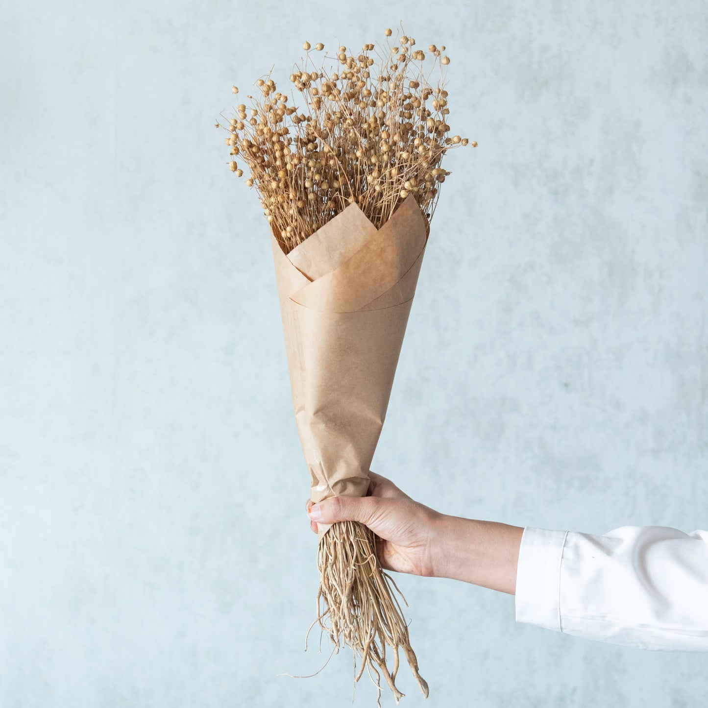 Lino Grass (100 Grams)- Natural