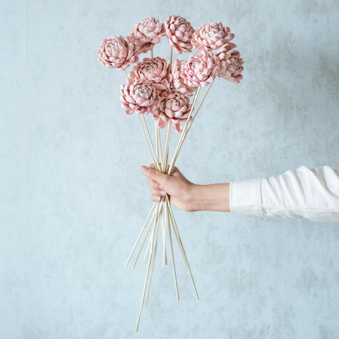 Blush Pink Sola Gardenia On Stem ( 10 Sticks )