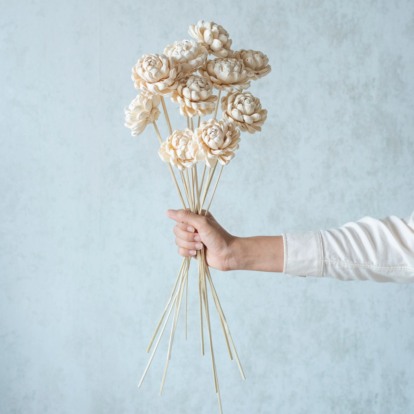 White Sola Gardenia On Stem ( 10 Sticks )