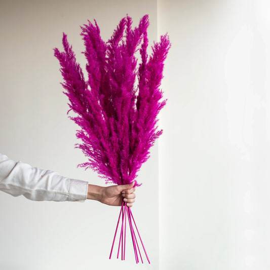 Hot Pink Glow Pampas Grass (Pack of 10 Sticks)