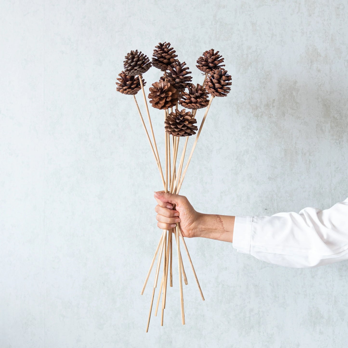 Pine Cone Sticks (Set of 10 pcs)