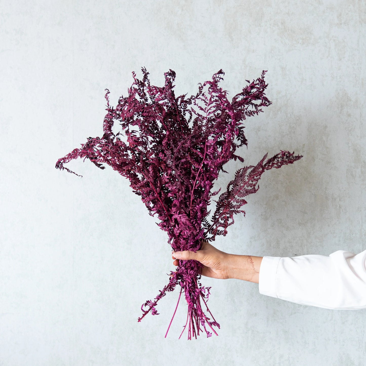 Fern Leaves (12 Pcs)