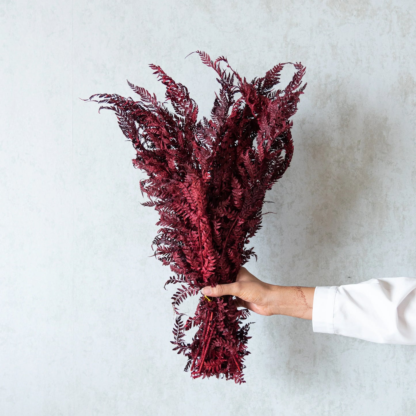 Fern Leaves (12 Pcs)