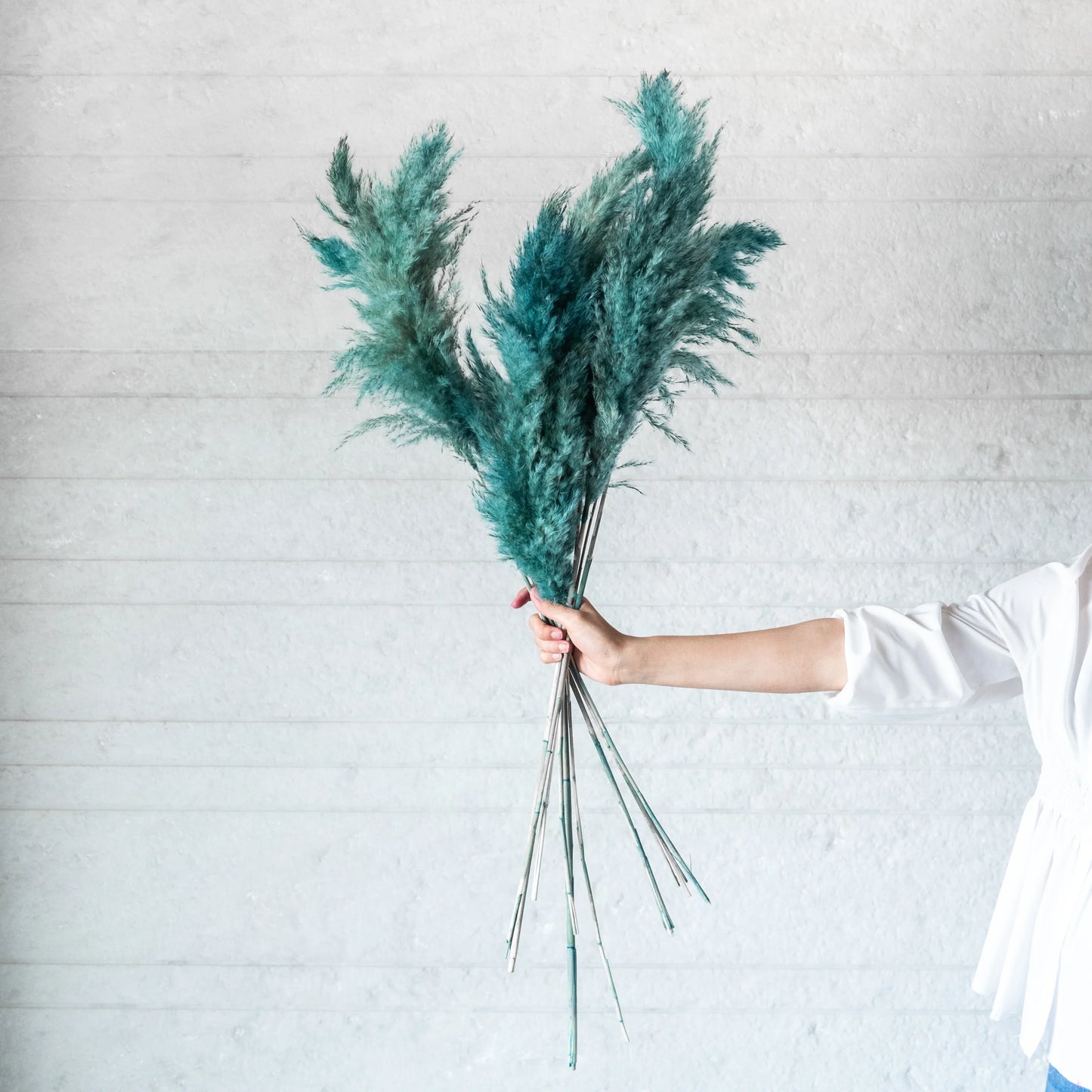 Ocean Blue Pampas