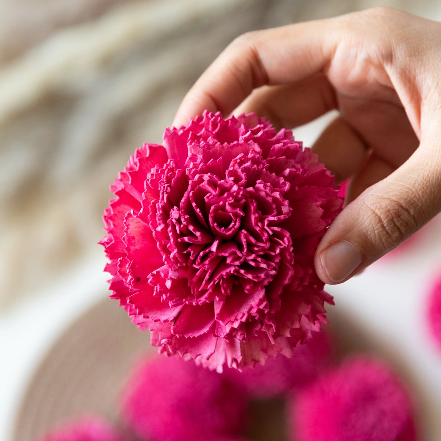 Hot pink and White Carnations Sola Wood Flowers Set (Pack of 10)