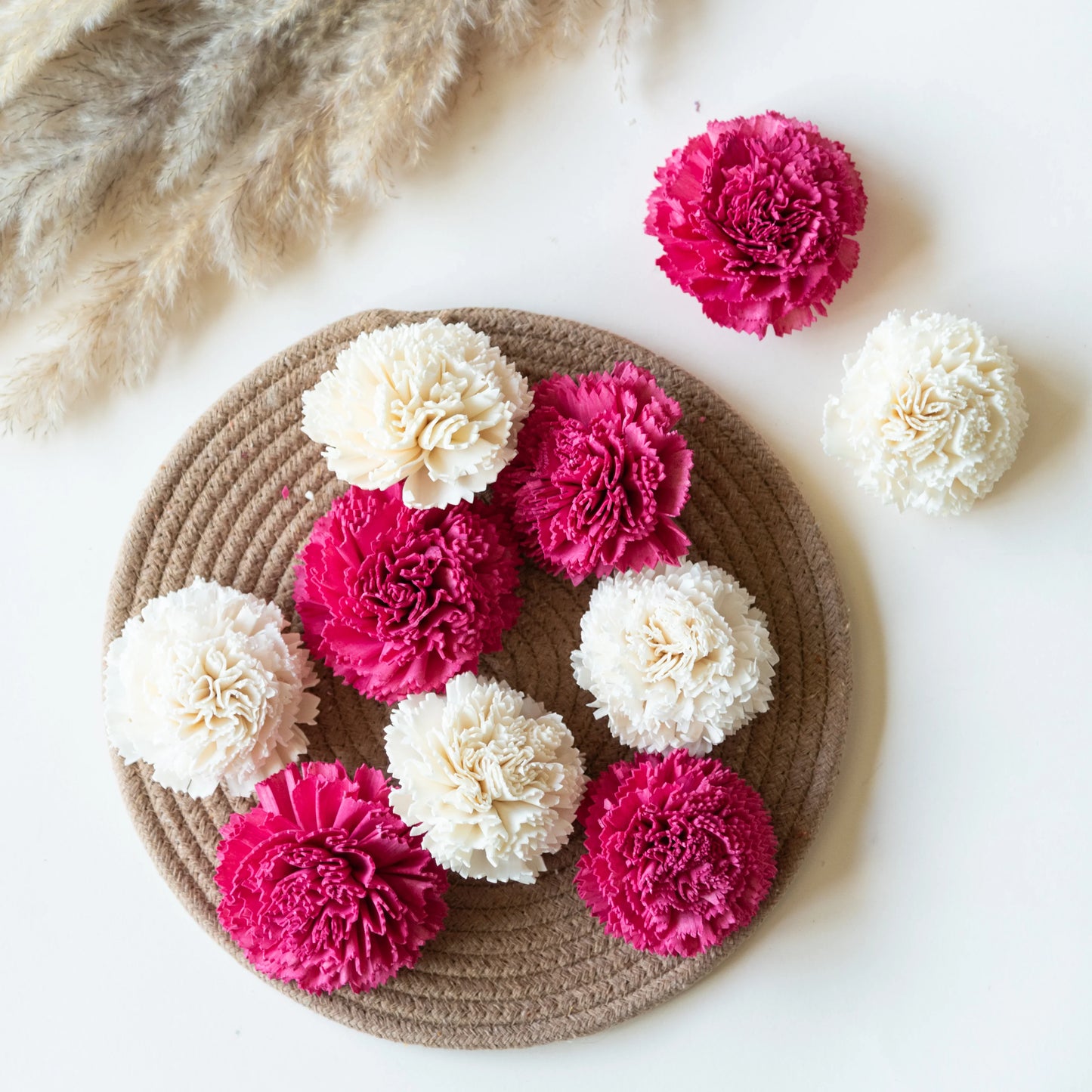 Pink and White Sola Carnations Set (10 sticks)