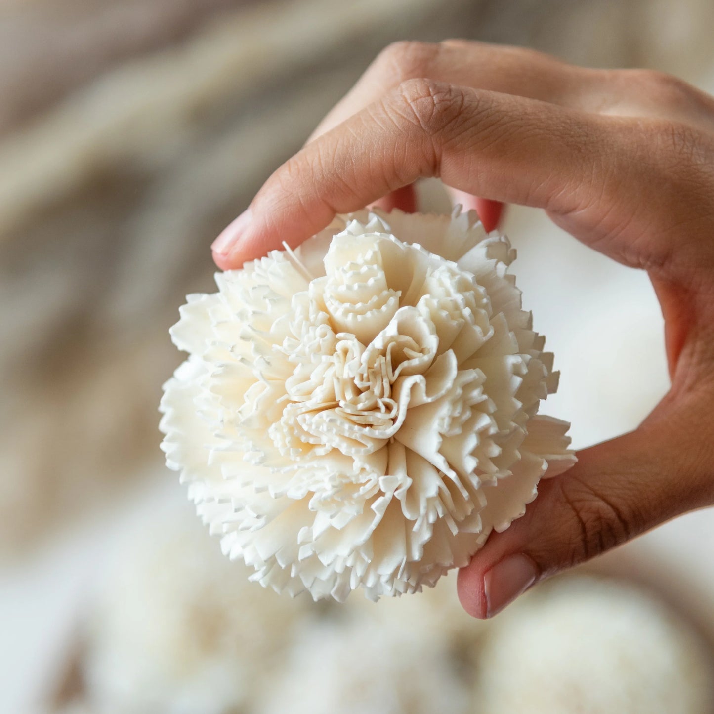 Hot pink and White Carnations Sola Wood Flowers Set (Pack of 10)