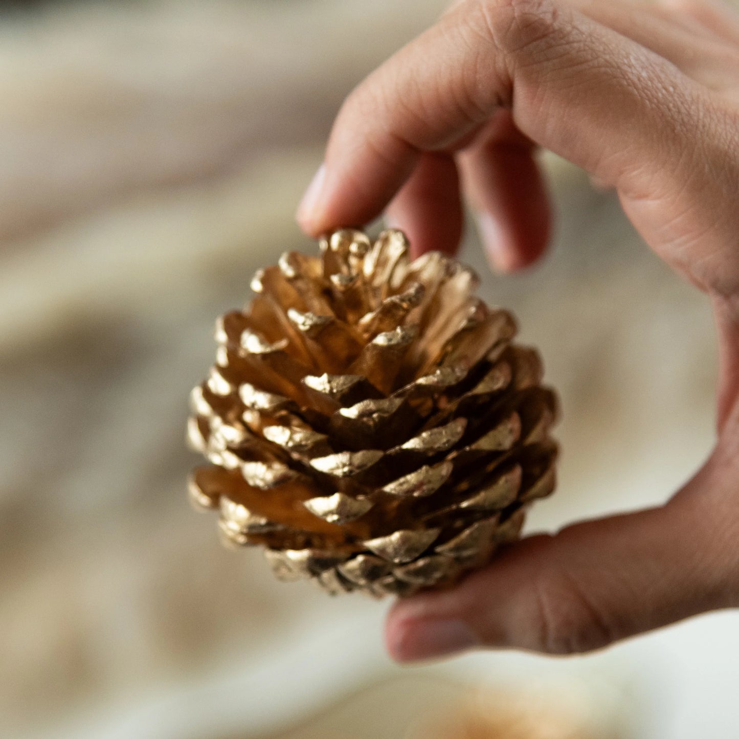 Dazzle Brown and Gold Pine Cones (Set of 10 pcs)