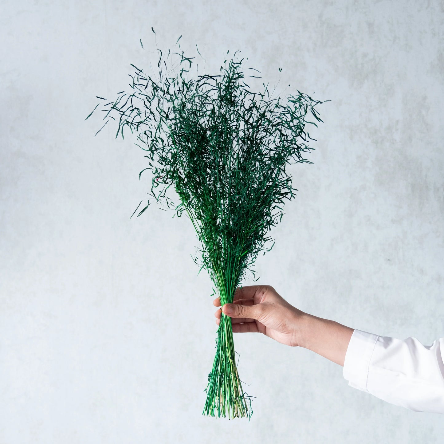 Green Tiger Grass (100 Grams)