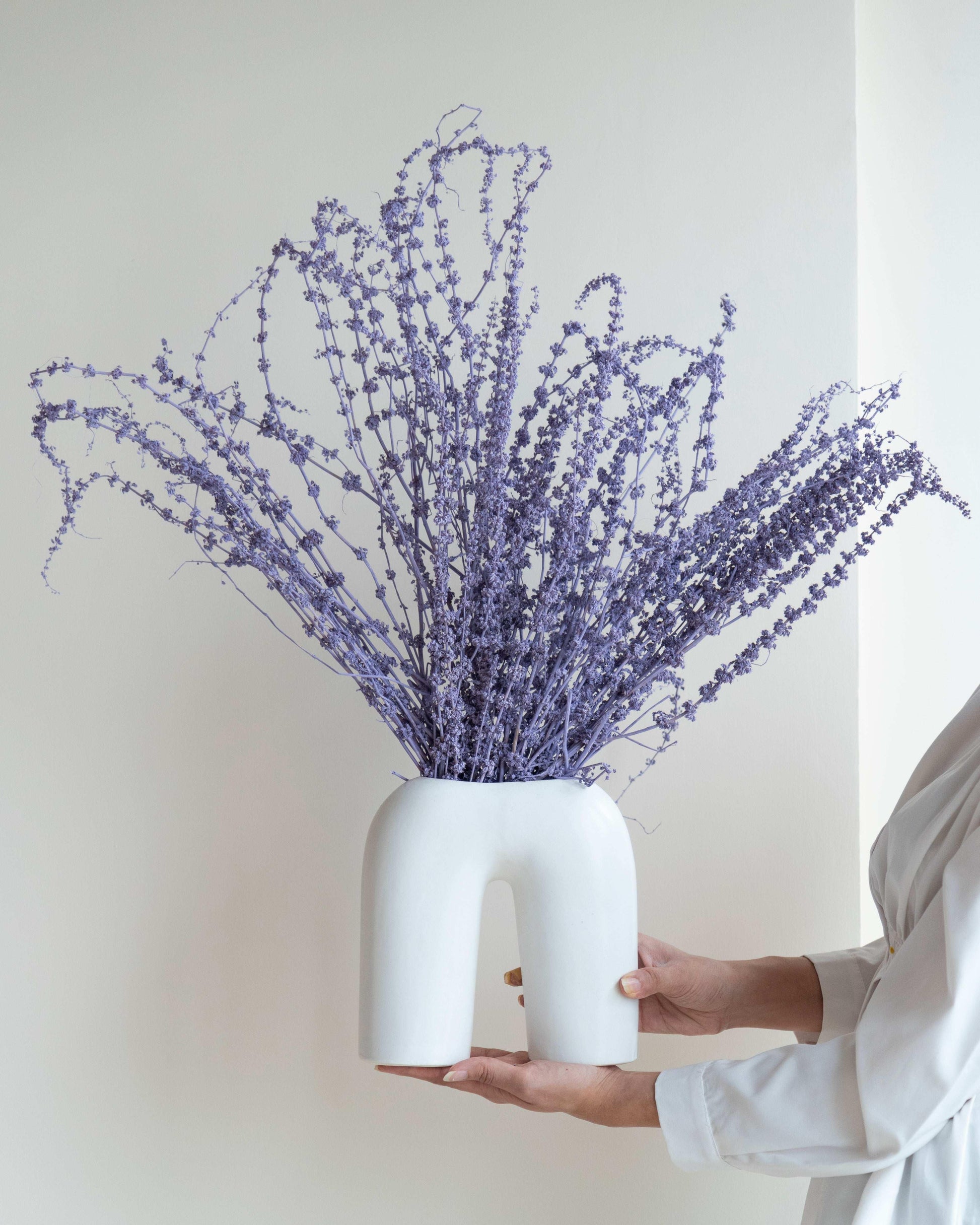 Lavender Stag Grass (50 Pcs)