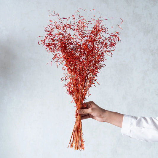 Orange Tiger Grass (100 Grams)