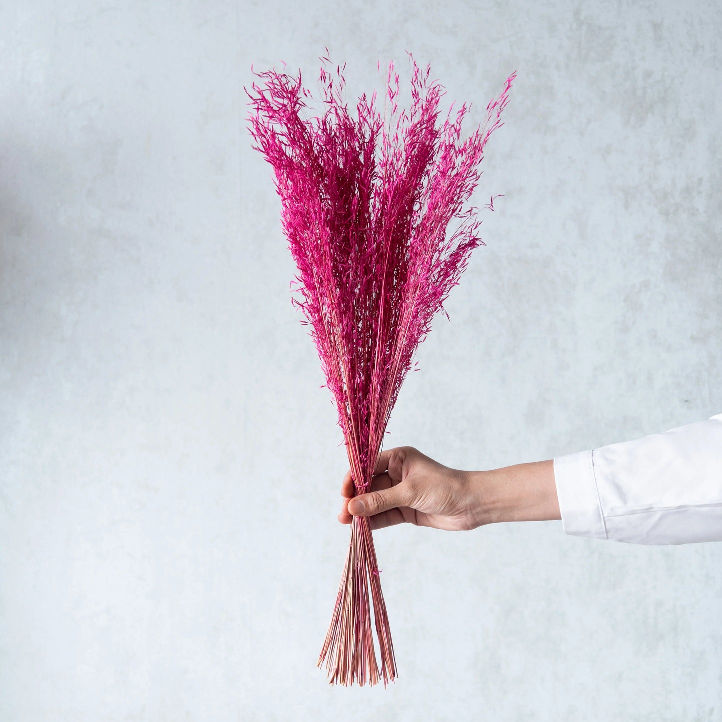 Pink Tiger Grass (100 Grams)