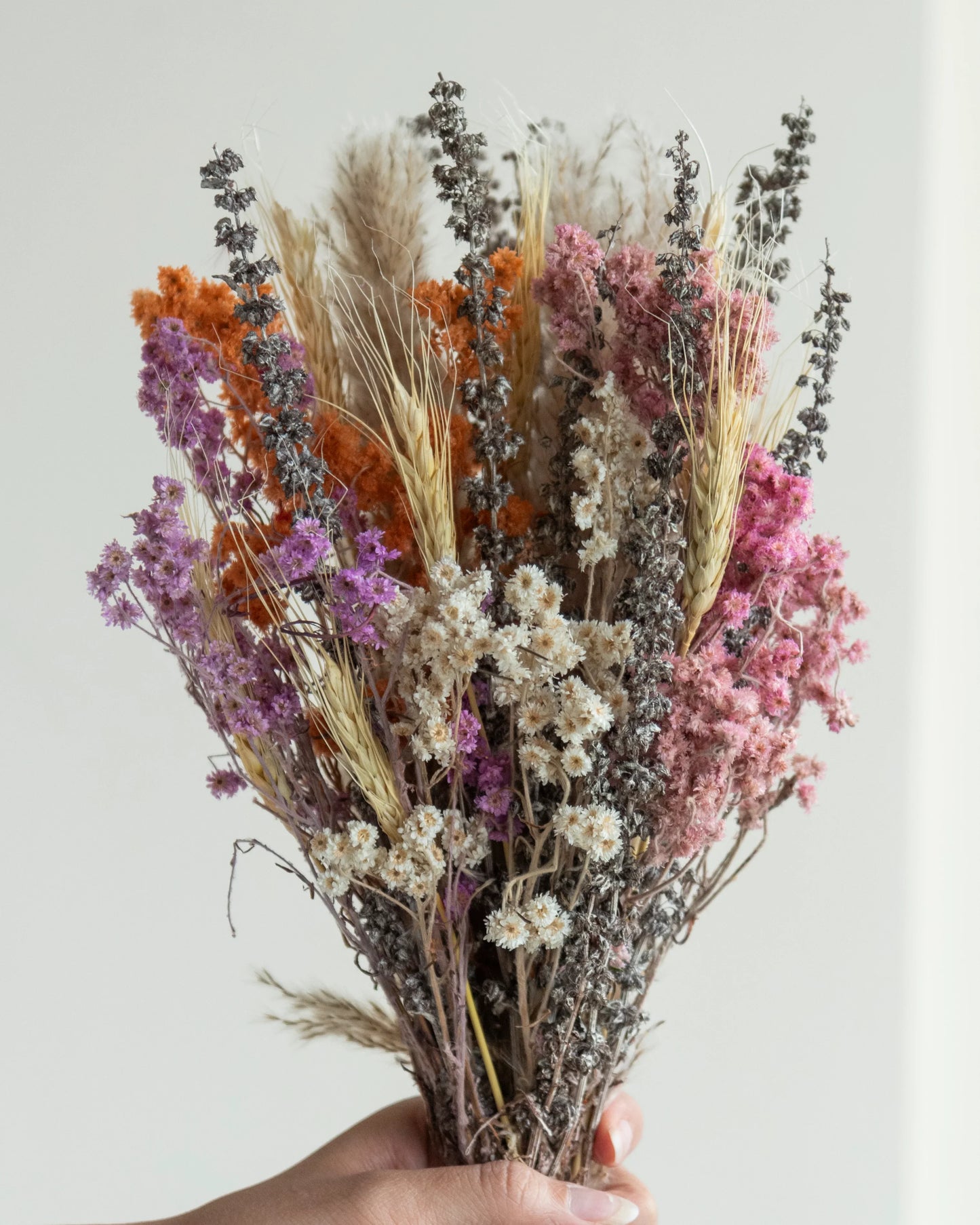 Boho Rainbow Bunch