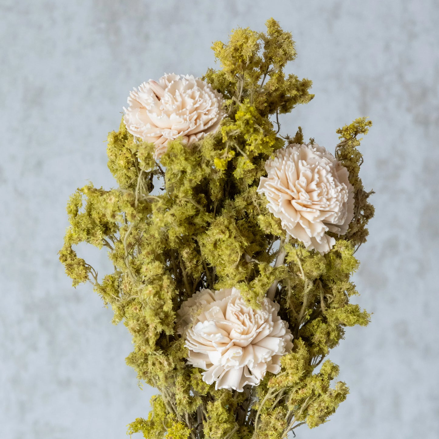 Green Gypsy and Carnation Bunch