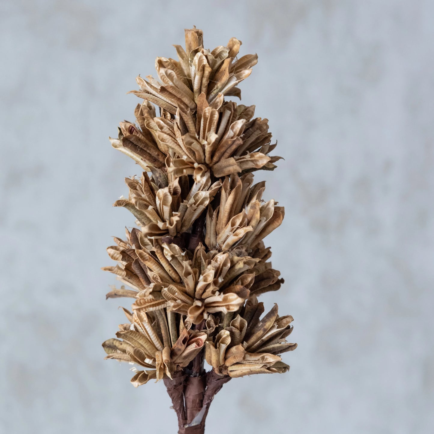 Handmade Brown Artichoke Sticks (Set of 5)