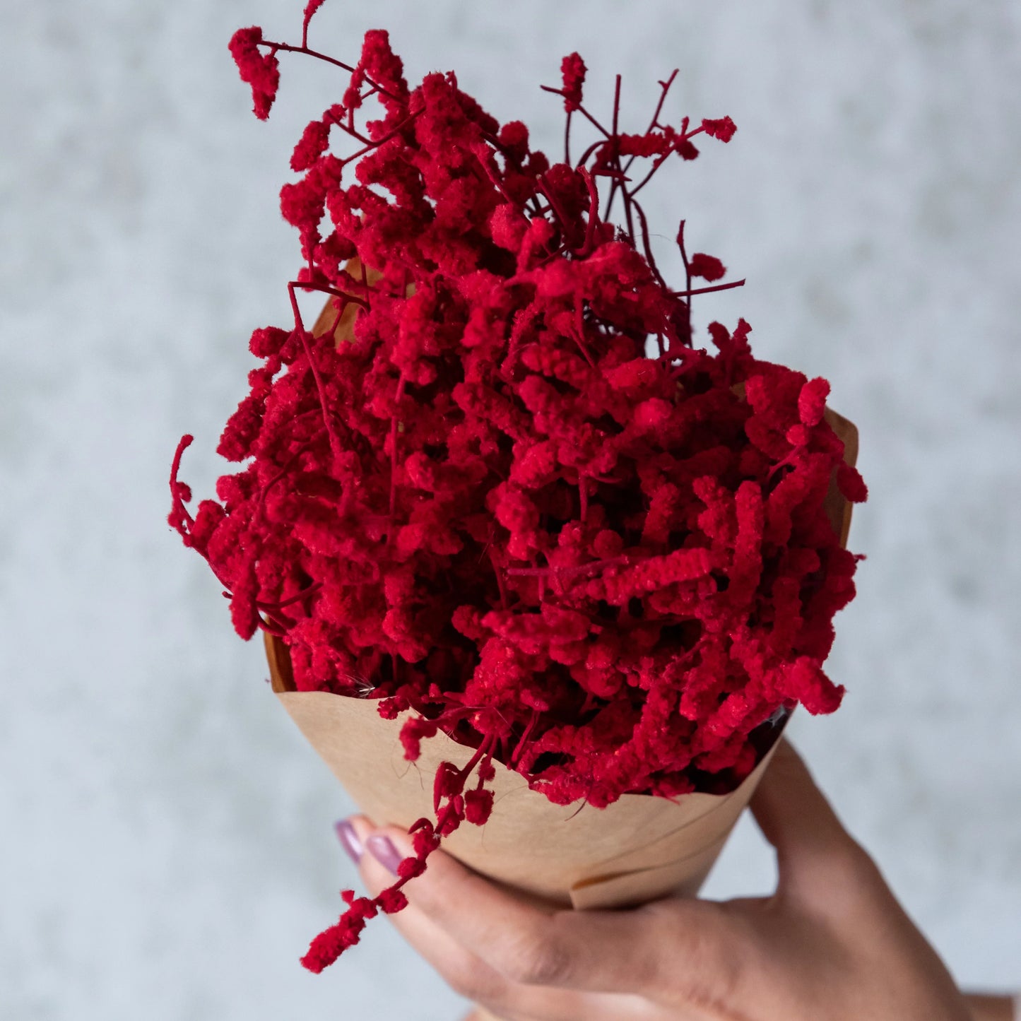 Red Dried German Statice Grass (100 Grams)