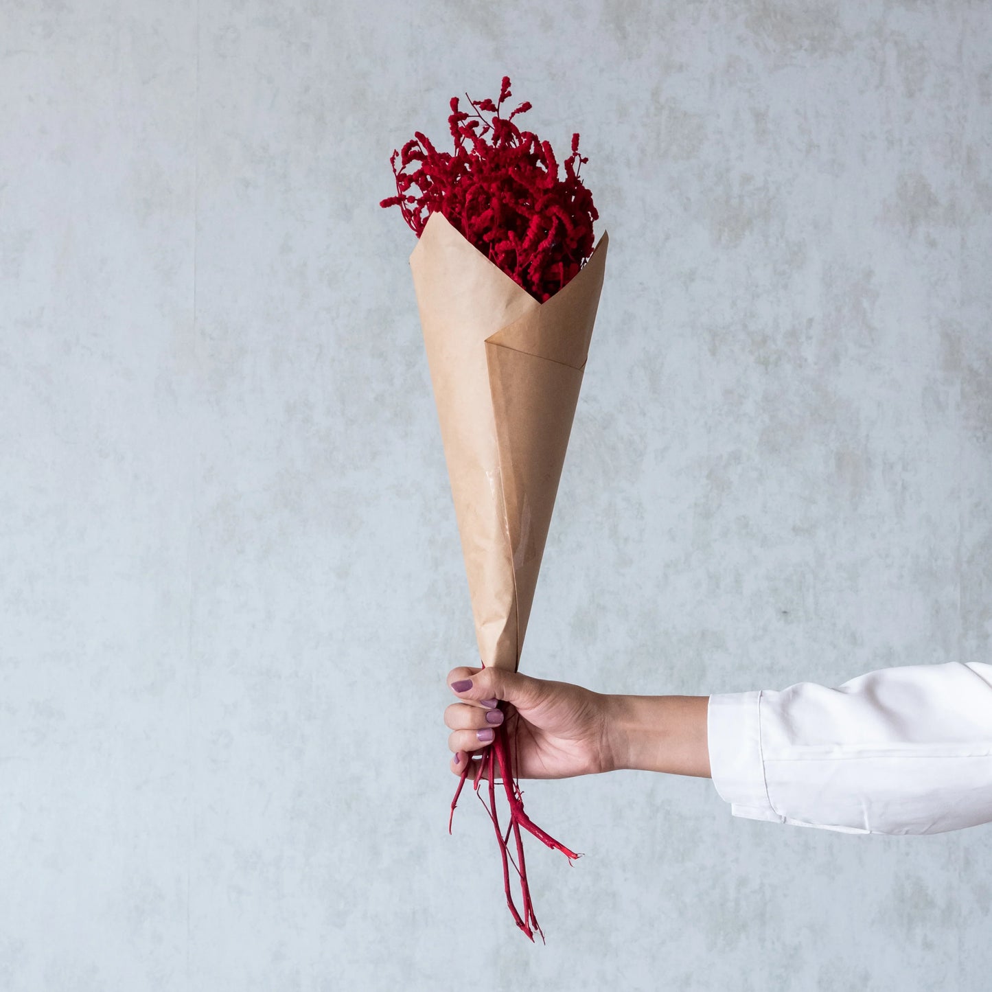 Red Dried German Statice Grass (100 Grams)