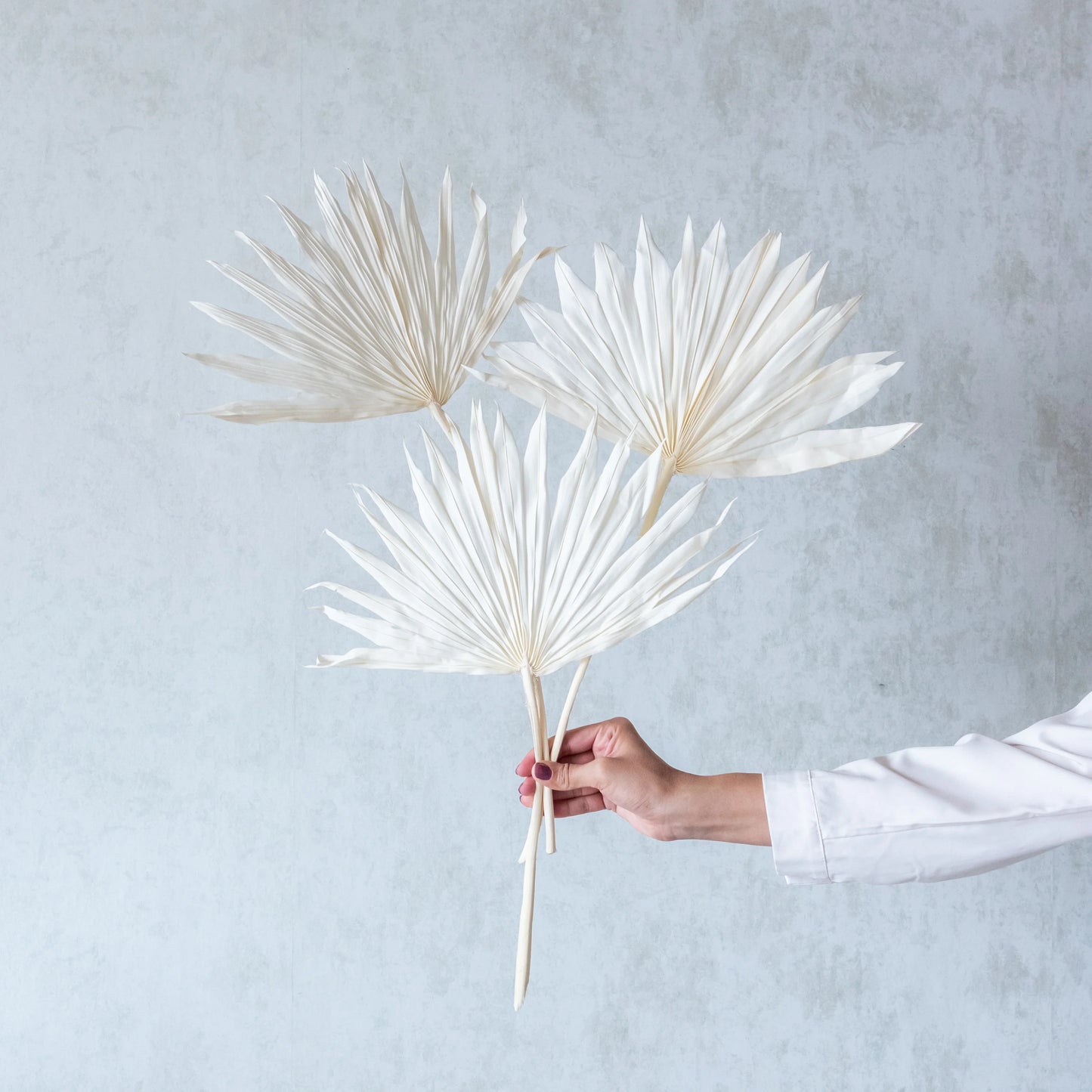 White Sun Palm Spears (Set Of 3 Pcs)
