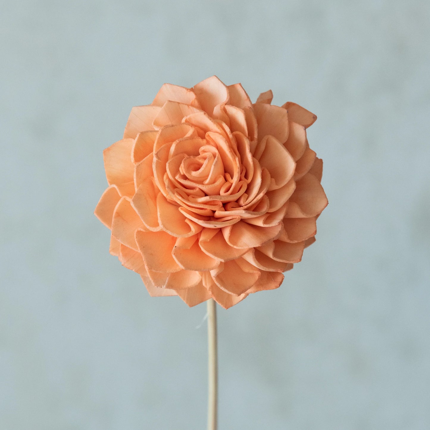 Peachy Sola Wood Flowers Sticks (10 Sticks)
