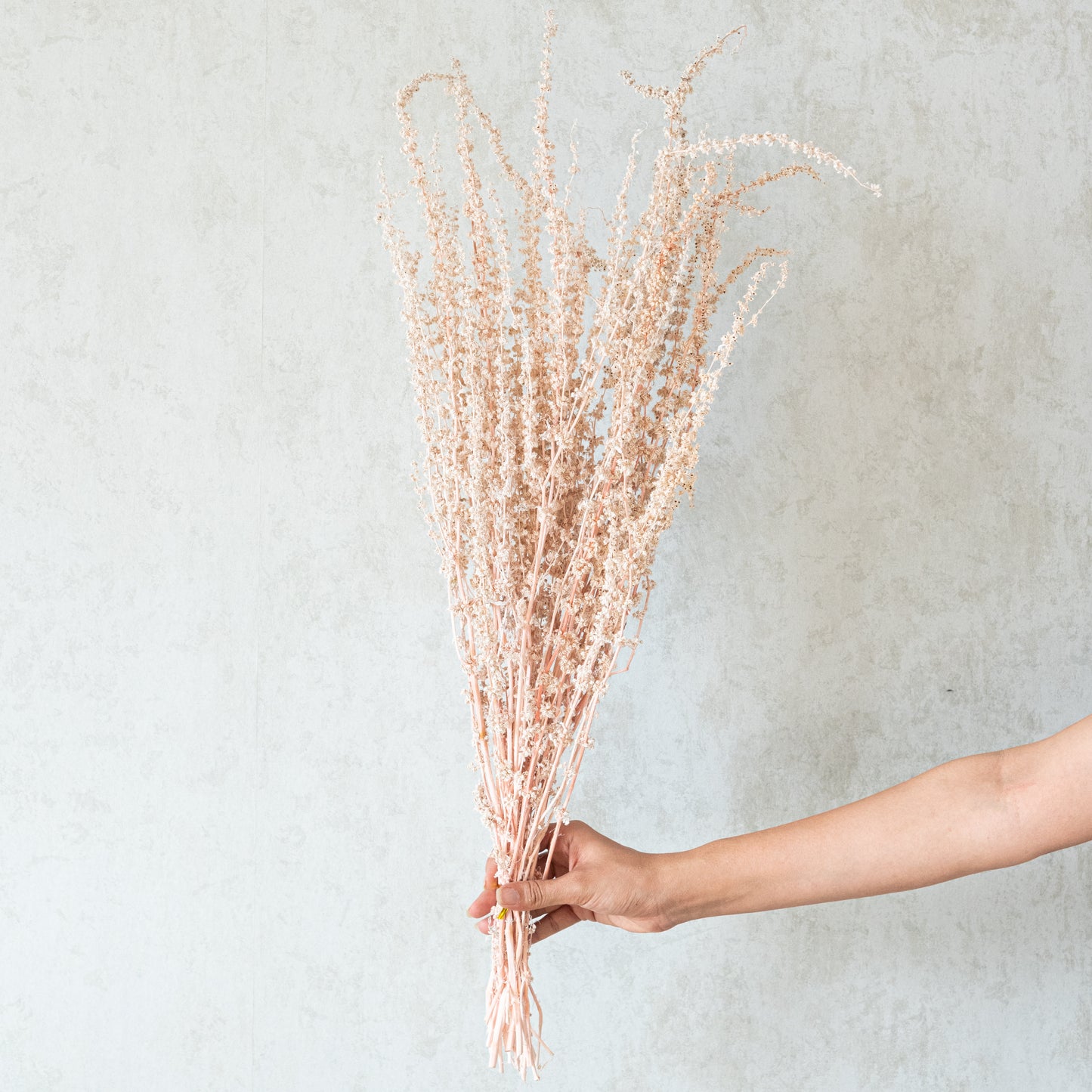 Stag Grass Pink (50 sticks)