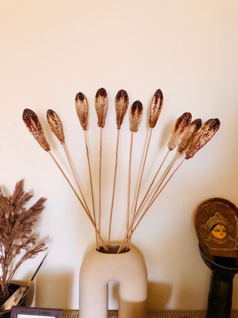 Mehogany On Stem (10 sticks)