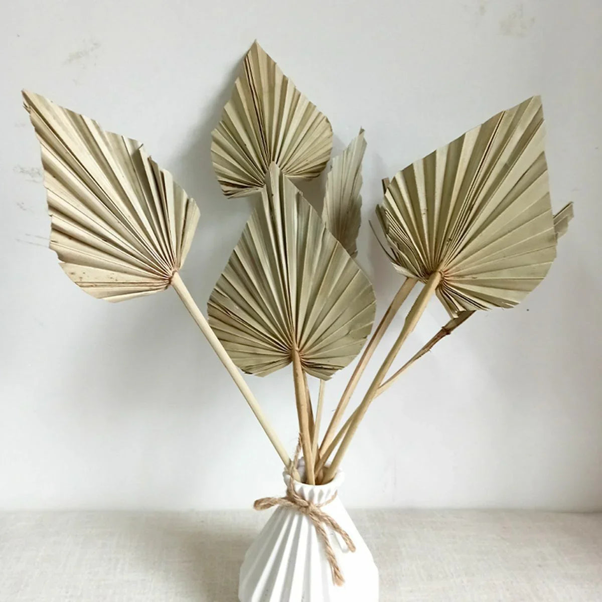 Palm Spear / Palm Leaf (Pack Of 5) (Colours Avaialble)