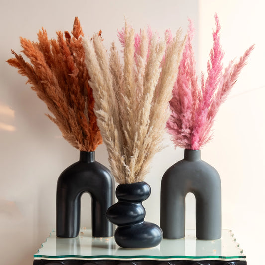 How to Take Care of Pampas Grass: A Comprehensive Guide