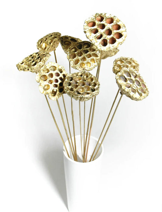 Christmas Decor Golden Lotus Pods at Flowers and Fillers