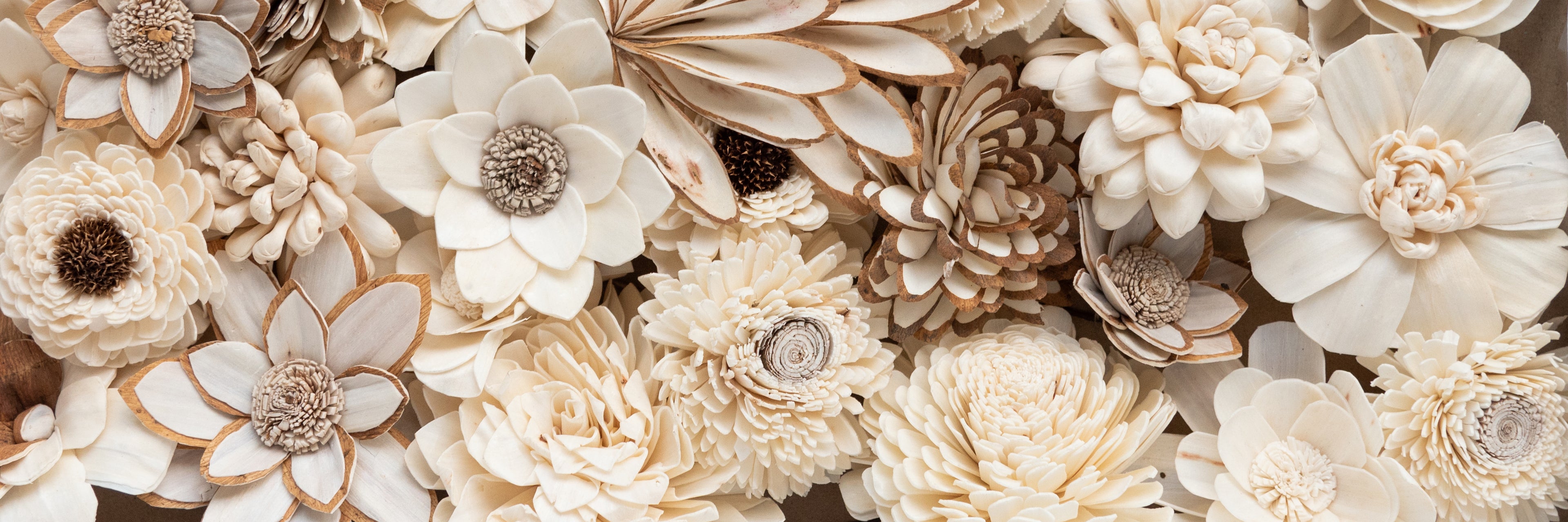 sola flowers, wood flowers, shola flowers and shola wood flowers