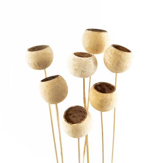 Bell Cup Sticks (Pack of 8)