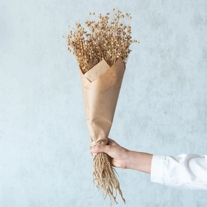 Lino Grass (100 Grams)- Natural