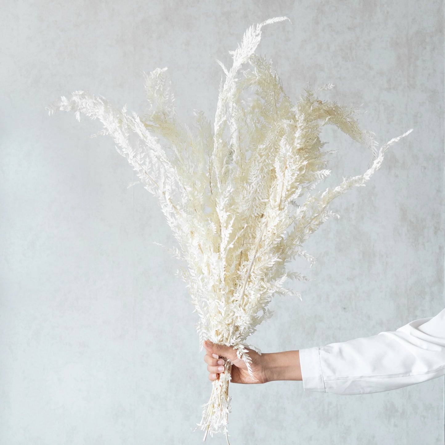 White Fern Leaves (12 Pcs)