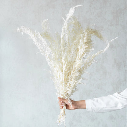 White Fern Leaves (12 Pcs)