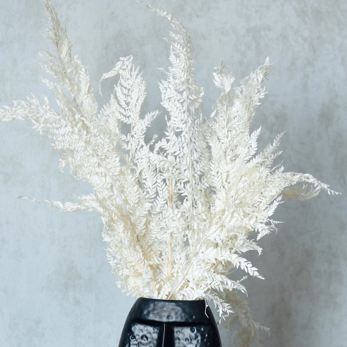 White Fern Leaves (12 Pcs)