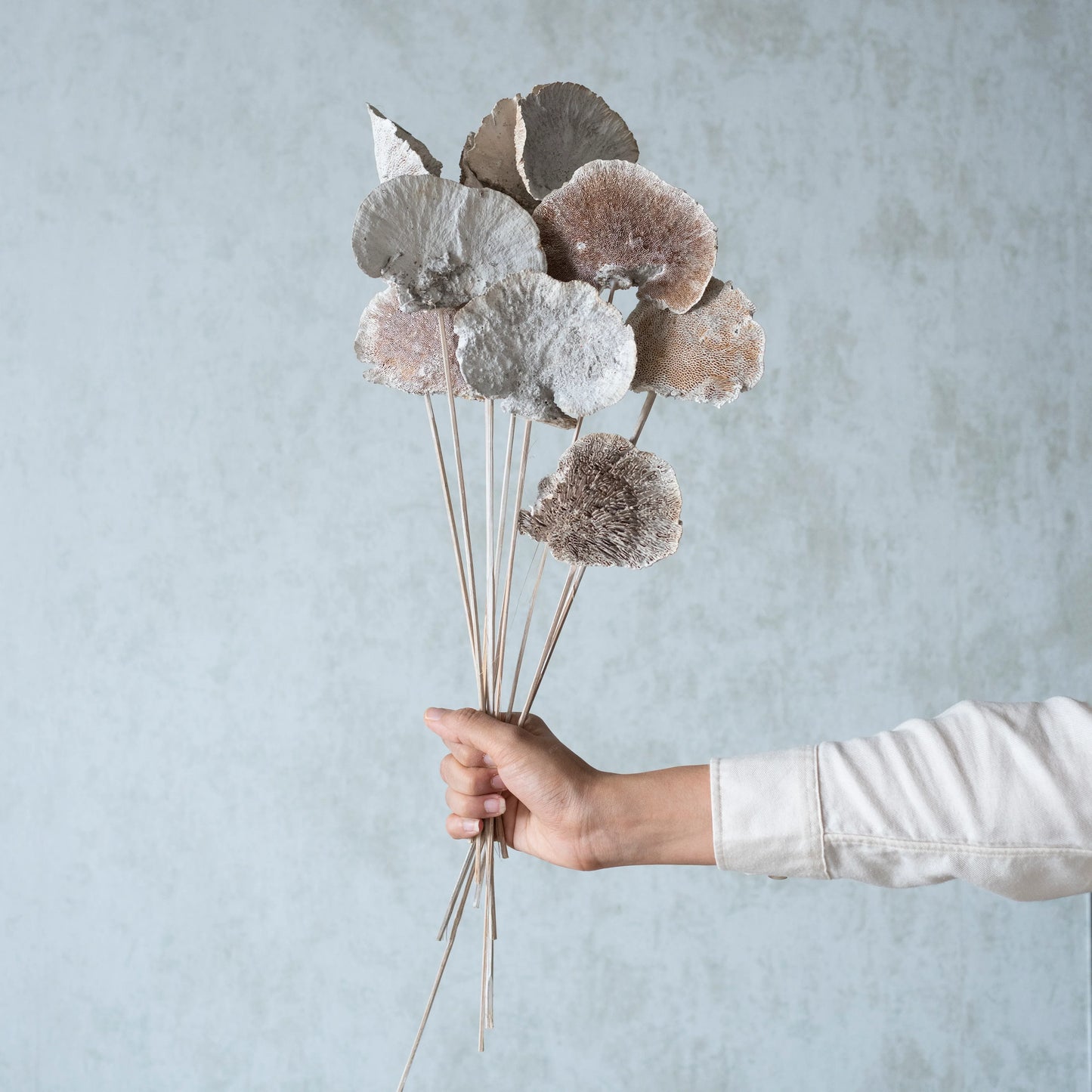 White Washed Sponge Mushroom Sticks (10 Sticks)