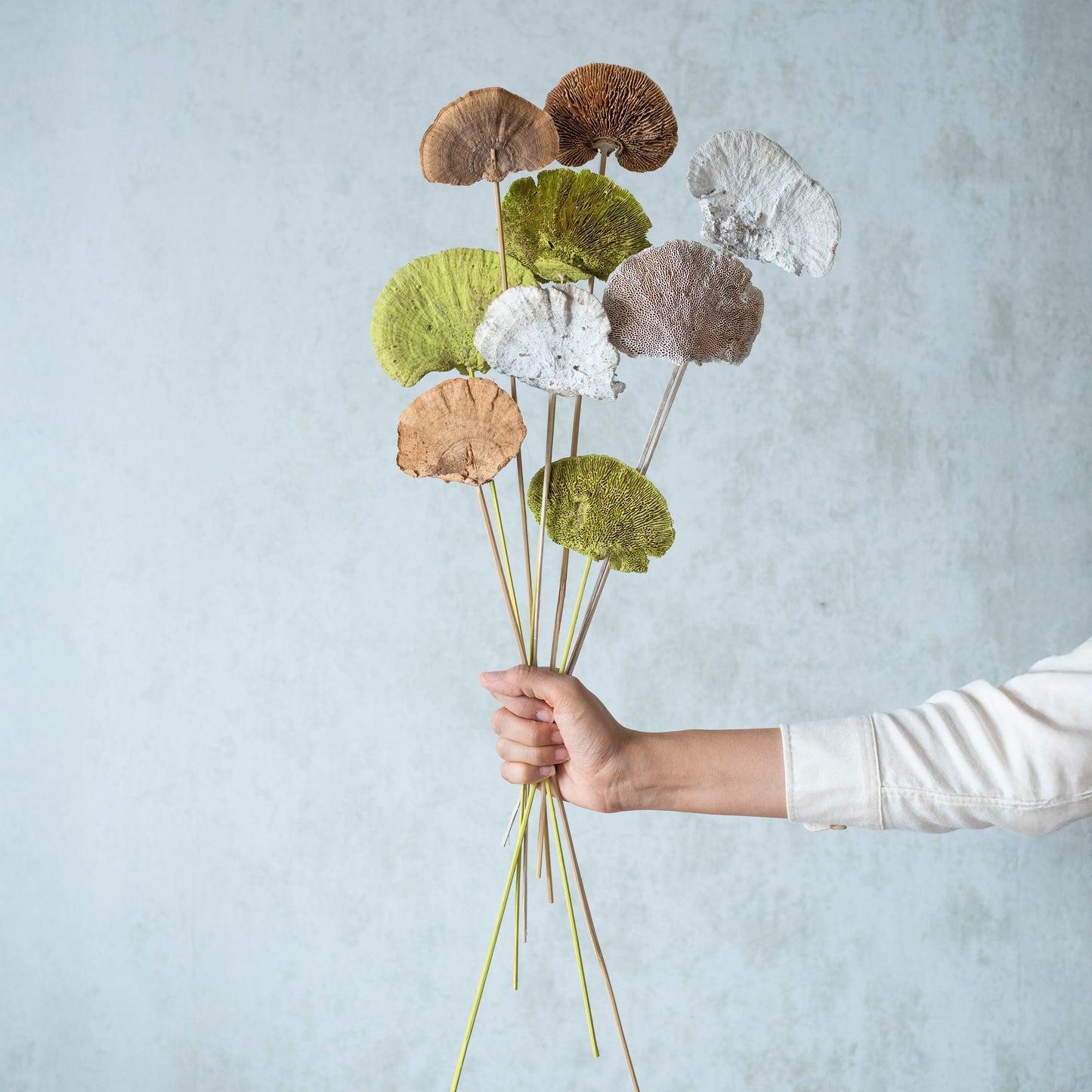Trio Sponge Mushroom Sticks (3 Sticks Each)