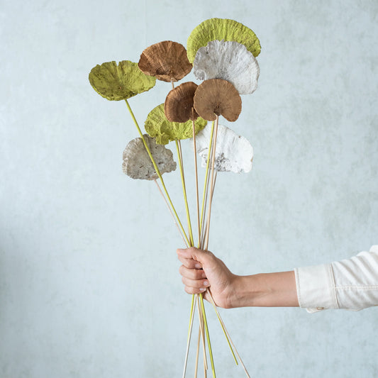 Trio Sponge Mushroom Sticks (3 Sticks Each)