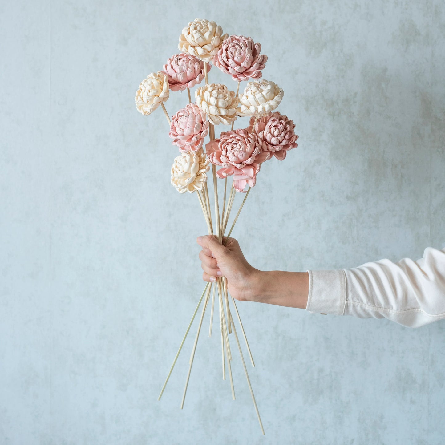 Blush Pink & White Sola Gardenia On Stem ( 5-5 Sticks )
