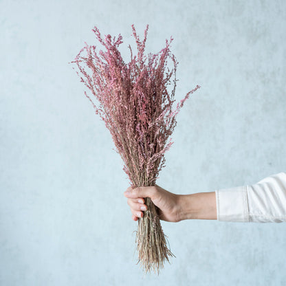 Pink Star Grass (100 Grams)