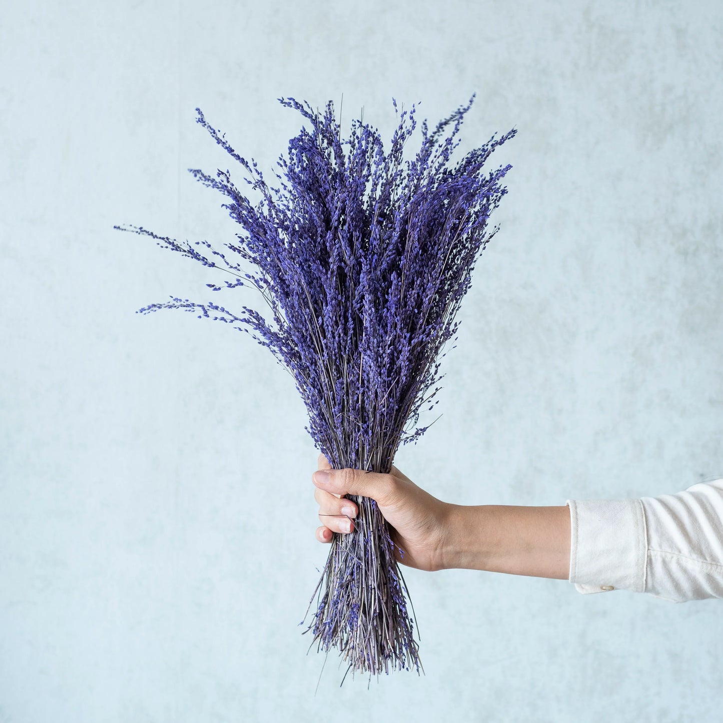 Purple Star Grass (100 Grams)