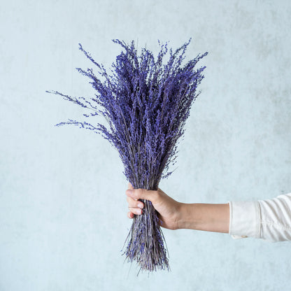 Purple Star Grass (100 Grams)