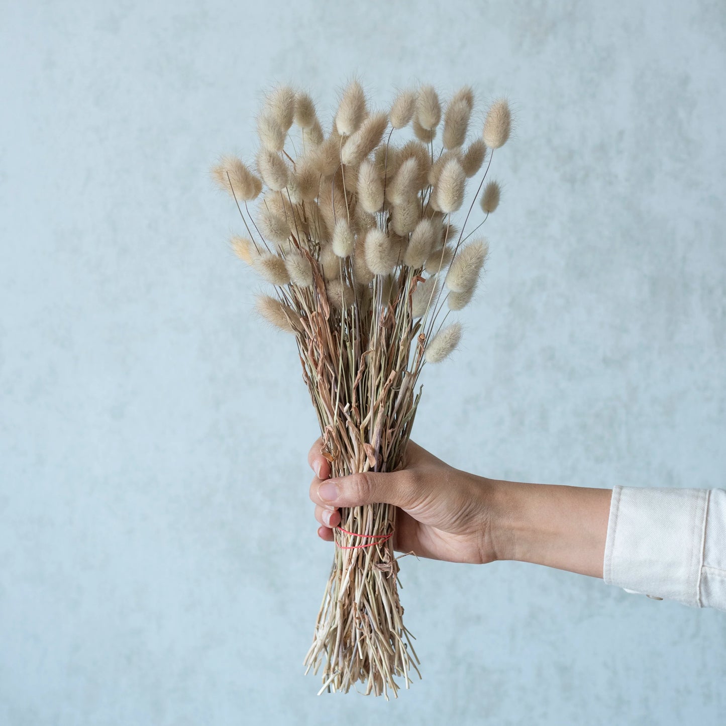 Natural Bunny Tails (50 pcs)