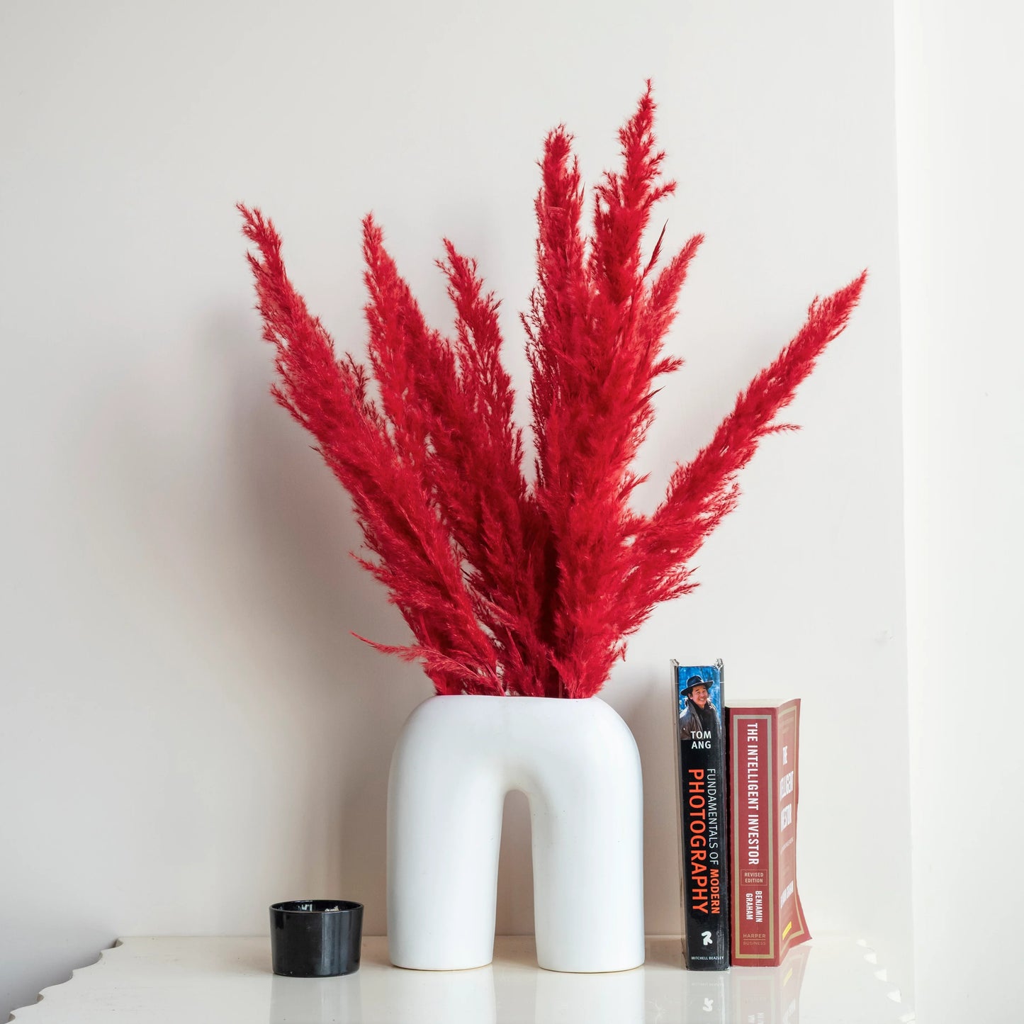 Crimson Red Glow Pampas Grass (Pack of 10 Sticks)