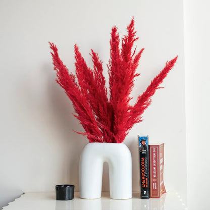 Crimson Red Glow Pampas Grass (Pack of 10 Sticks)