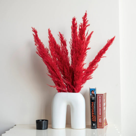 Crimson Red Glow Pampas Grass (Pack of 10 Sticks)