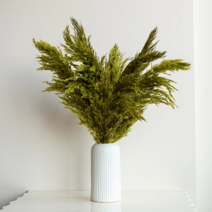 Grass Green Pampas (10 Sticks)