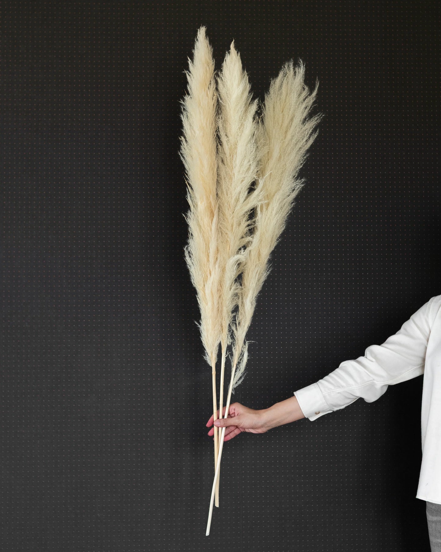 Jumbo Super Fluffy Pampas (3 Sticks)