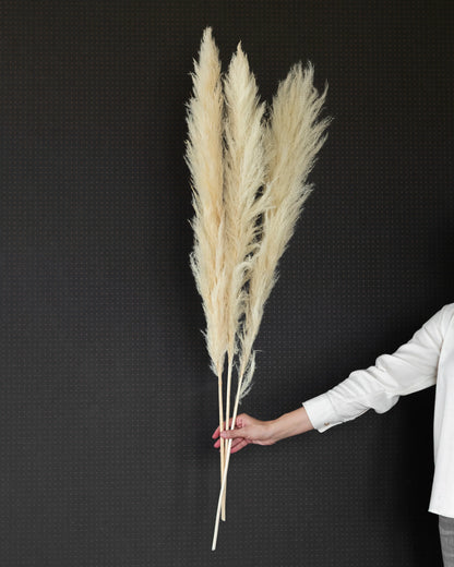 Jumbo Super Fluffy Pampas (3 Sticks)