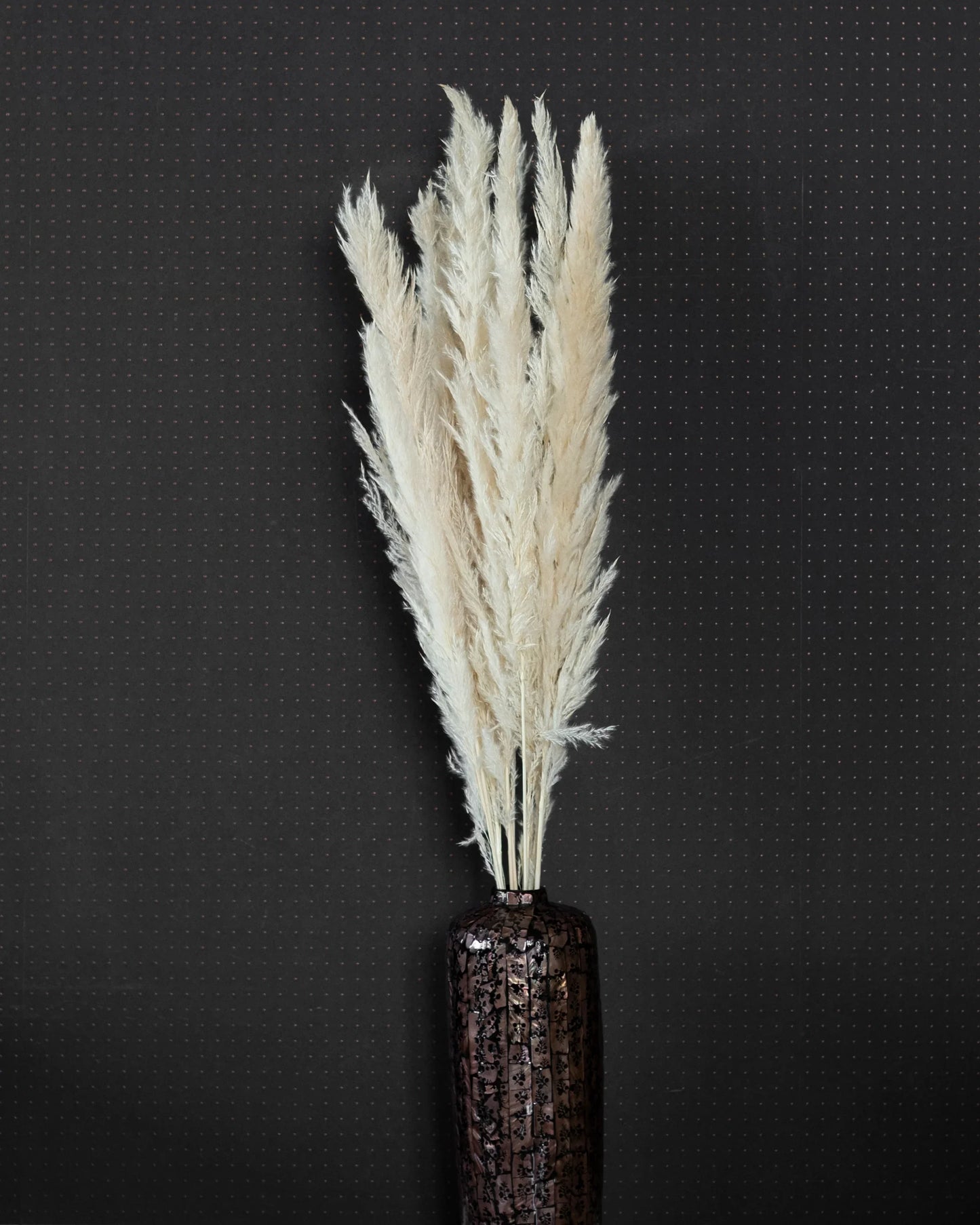 White foxtail pampas grass (Pack of 10 Sticks)