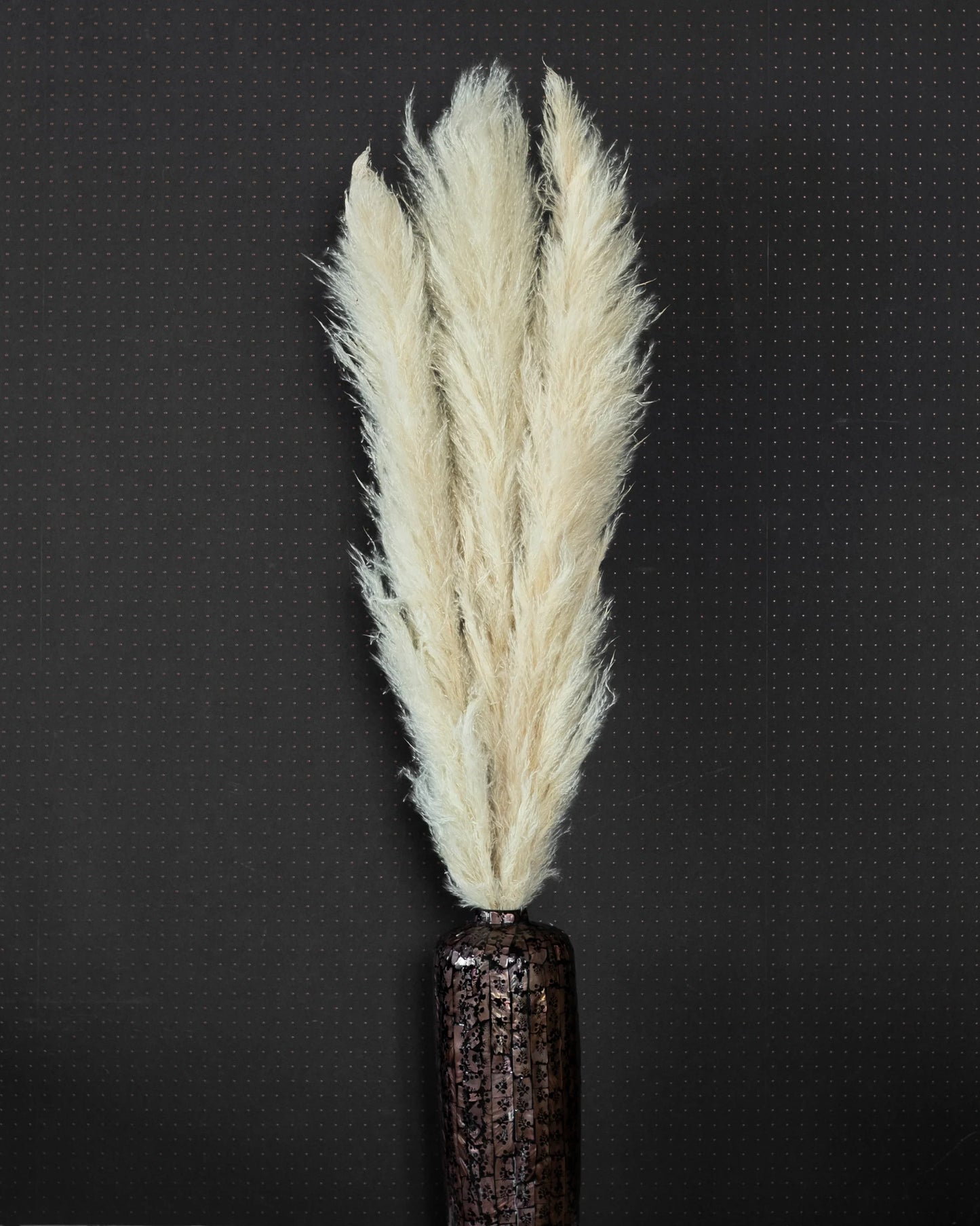 Jumbo Super Fluffy Pampas (3 Sticks)